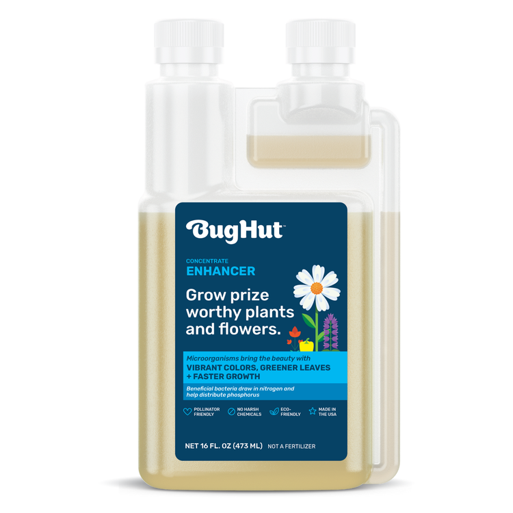 Plant Patience Bughut Enhancer
